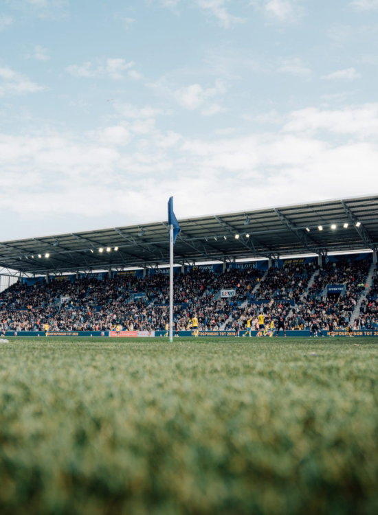 Grasmat en hoofdtribune van het Kooi Stadion