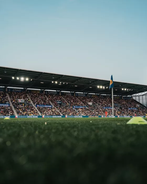 Grasmat bij schemer in het stadion